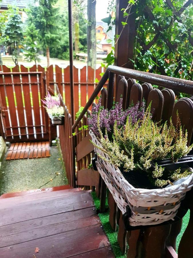 Pod Sniezynka Privat overnatting *